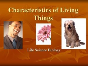 Characteristics of Living Things Life Science Biology n