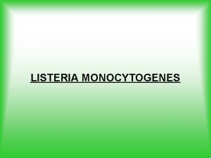 LISTERIA MONOCYTOGENES LISTERIA MONOCYTOGENES L monocytogenes est une