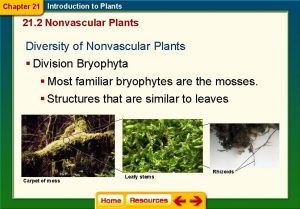 Chapter 21 Introduction to Plants 21 2 Nonvascular