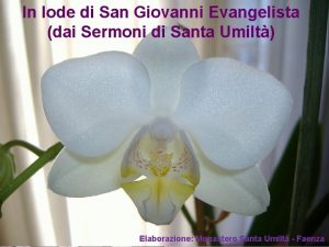 In lode di San Giovanni Evangelista dai Sermoni