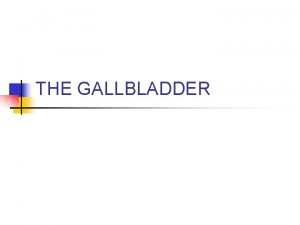 THE GALLBLADDER I IntroductionGeneral Information A Location 1