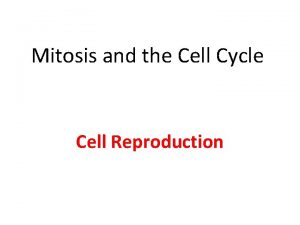 Mitosis and the Cell Cycle Cell Reproduction How