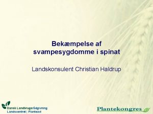 Bekmpelse af svampesygdomme i spinat Landskonsulent Christian Haldrup