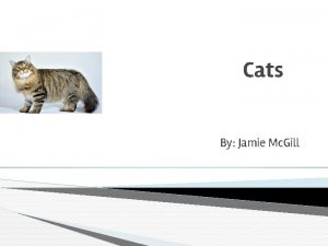 Cats By Jamie Mc Gill Flexible Felines Cats
