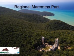 Regional Maremma Park Regional Maremma Park The Maremma