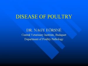 DISEASE OF POULTRY DR NAGY ERSN Central Veterinary