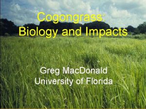 Cogongrass Biology and Impacts Greg Mac Donald University
