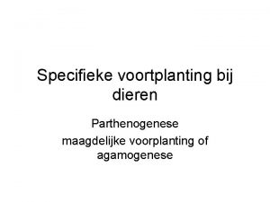 Specifieke voortplanting bij dieren Parthenogenese maagdelijke voorplanting of