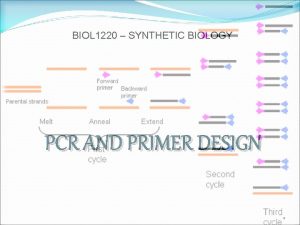 BIOL 1220 SYNTHETIC BIOLOGY PCR AND PRIMER DESIGN