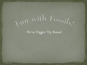 Were Diggin Up Bones What are Fossils Fossils