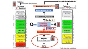 1 Sospettato individuato Crimine Trasferimento del materiale biologico