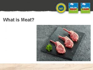 What is Meat Module Focus Meat is an