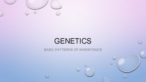 GENETICS BASIC PATTERNS OF INHERITANCE GENETICS RECESSIVE DISORDERS