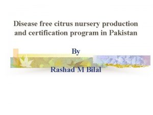 Disease free citrus nursery production and certification program