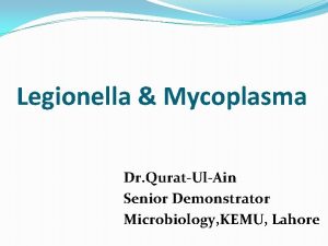 Legionella Mycoplasma Dr QuratUlAin Senior Demonstrator Microbiology KEMU