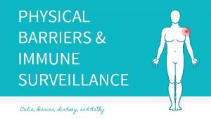 PHYSICAL BARRIERS IMMUNE SURVEILLANCE Celia Darian Lindsey and