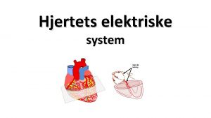 Hjertets elektriske system Elektrisk ledning Bakgrunnsinformasjon om kursserien