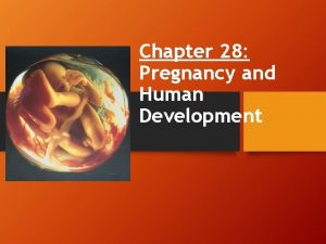 Chapter 28 Pregnancy and Human Development Pregnancy Human