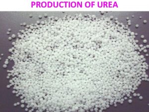 PRODUCTION OF UREA Urea is a white dry