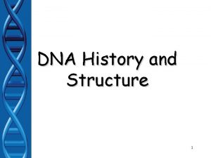 DNA History and Structure 1 Discovering the structure