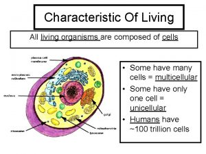 Characteristic Of Living All living organisms are composed