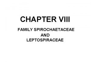 CHAPTER VIII FAMILY SPIROCHAETACEAE AND LEPTOSPIRACEAE Learning objective