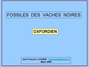 FOSSILES DES VACHES NOIRES OXFORDIEN JeanFranois LHOMME hybodus