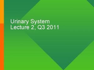 Urinary System Lecture 2 Q 3 2011 Nephron