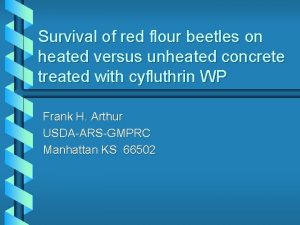 Survival of red flour beetles on heated versus