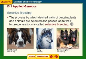 Chapter 13 Genetics and Biotechnology 13 1 Applied