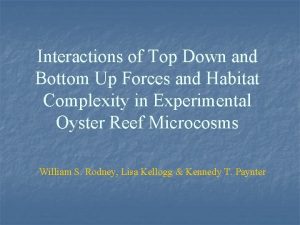 Interactions of Top Down and Bottom Up Forces