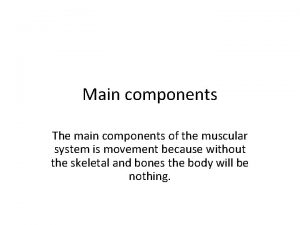 Main components The main components of the muscular