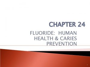 CHAPTER 24 FLUORIDE HUMAN HEALTH CARIES PREVENTION 1