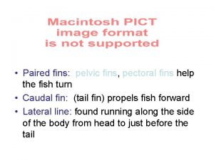 Paired fins pelvic fins pectoral fins help the