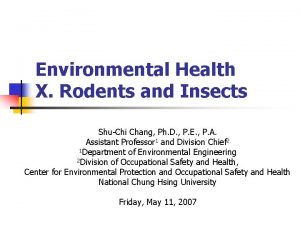 Environmental Health X Rodents and Insects ShuChi Chang