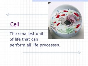 Cell The smallest unit of life that can