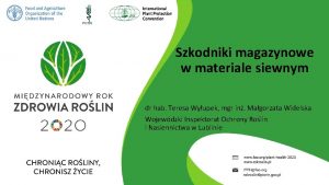 Szkodniki magazynowe w materiale siewnym dr hab Teresa