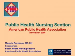 Public Health Nursing Section American Public Health Association