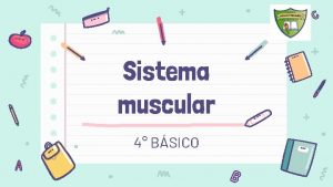 Sistema muscular 4 BSICO OBJETIVO DE APRENDIZAJE CONTENIDOS