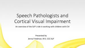 Speech Pathologists and Cortical Visual Impairment An overview