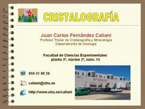 Juan Carlos Fernndez Caliani Profesor Titular de Cristalografa
