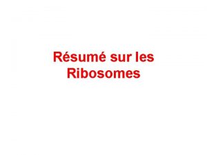 Rsum sur les Ribosomes La synthse des protines