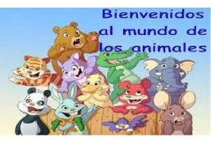 ESPONJAS Son los animales ms simples que existen