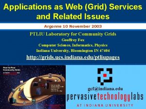 Applications as Web Grid Services and Related Issues