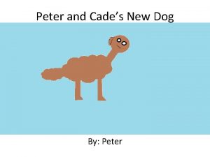 Peter and Cades New Dog Written and Illustrated