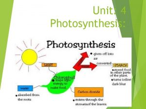 Unit 4 Photosynthesis Autotrophs make their own food