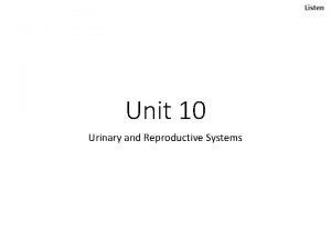 Listen Unit 10 Urinary and Reproductive Systems Listen