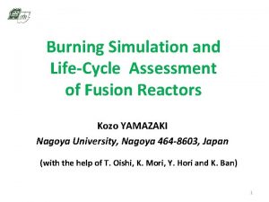 Burning Simulation and LifeCycle Assessment of Fusion Reactors
