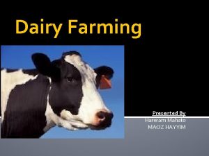 Dairy Farming Presented By Hareram Mahato MAOZ HAYYIM