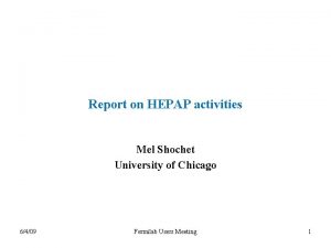 Report on HEPAP activities Mel Shochet University of